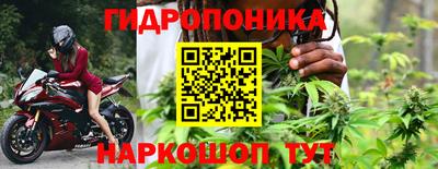 ешки Аргун