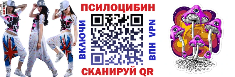Галлюциногенные грибы Psilocybe Корсаков