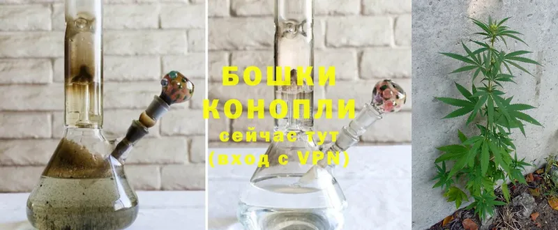 Бошки марихуана OG Kush  купить наркотики цена  Корсаков 