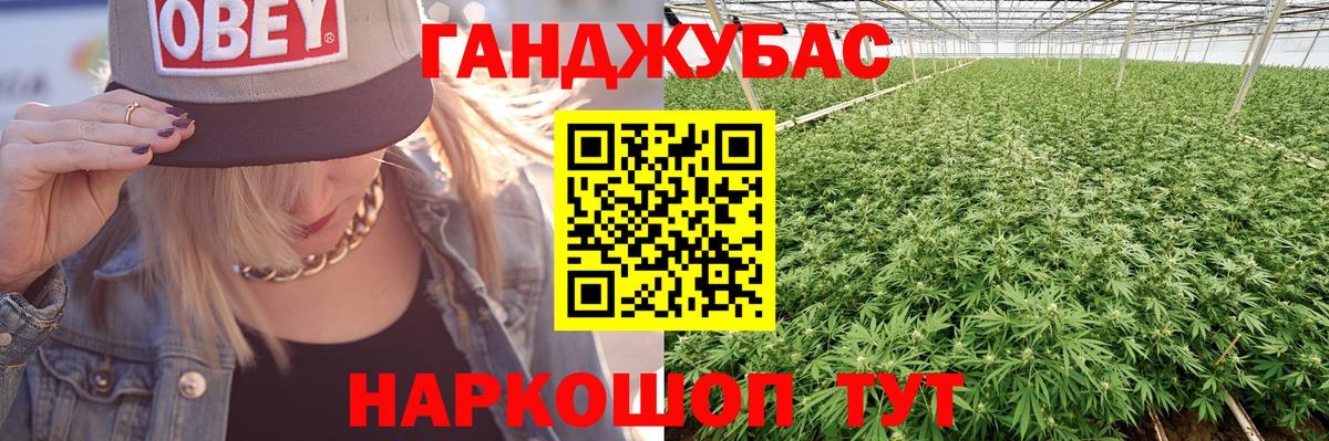 Марихуана сатива Корсаков